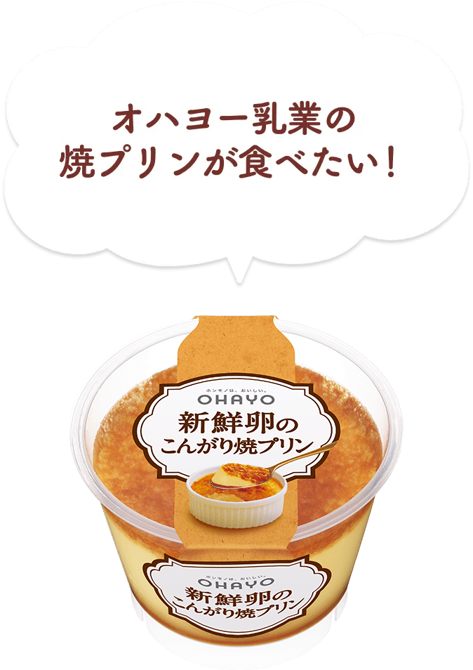 オハヨー乳業の焼プリンが食べたい！