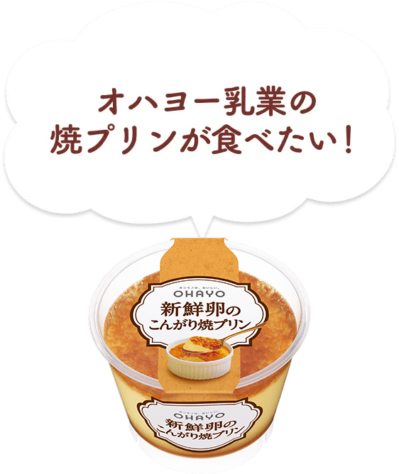 オハヨー乳業の焼プリンが食べたい！