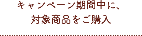 キャンペーン期間中に、対象商品をご購入