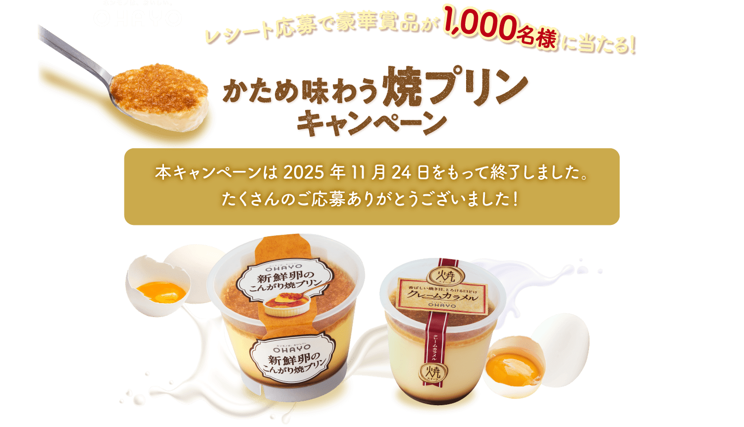 【本キャンペーンは2025年11月24日をもって終了しました。たくさんのご応募ありがとうございました！】レシート応募で豪華賞品が1000名様に当たる！かため味わう焼きプリンキャンペーン